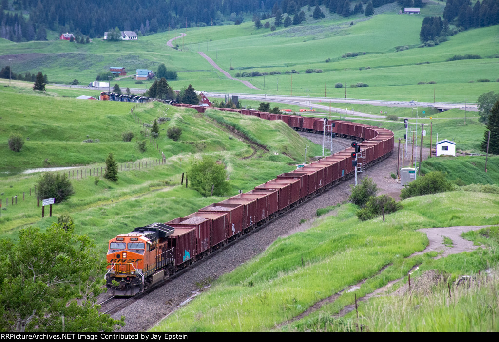 Whole Train in one Shot